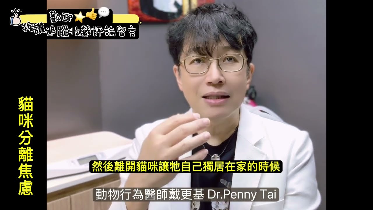 貓與主人分離所產生的痛苦
