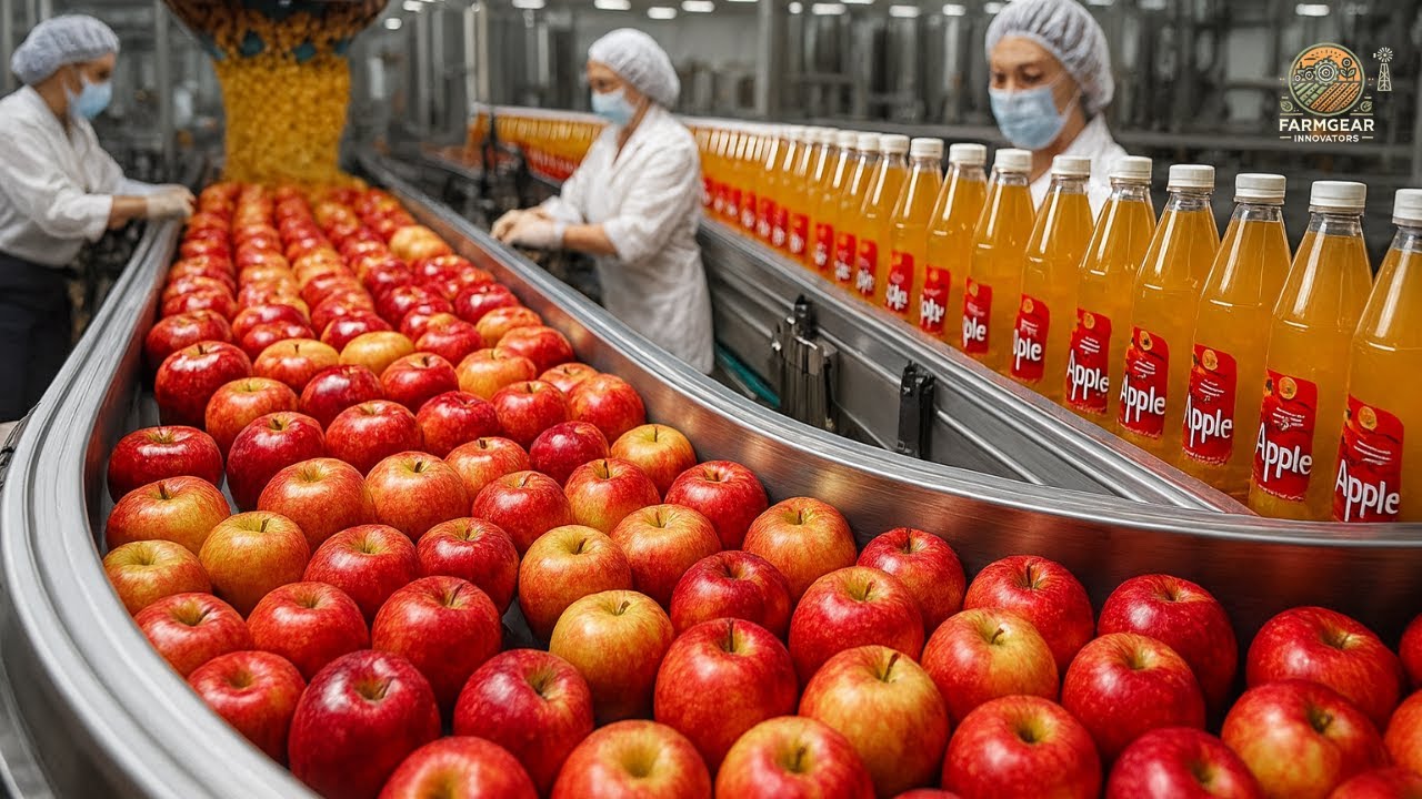 How to Make Apple Juice, Pineapple Juice, Canned Sweet Corn - Processing Factory