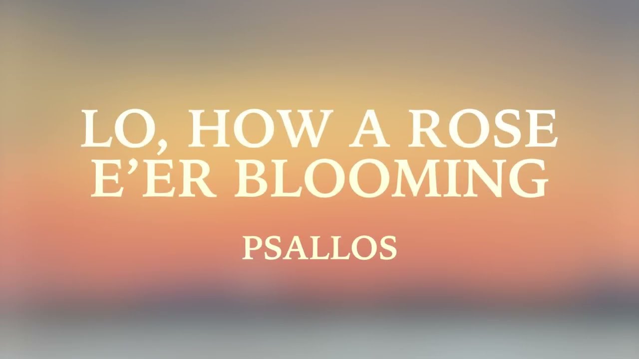 Psallos - Lo, How a Rose E'er Blooming