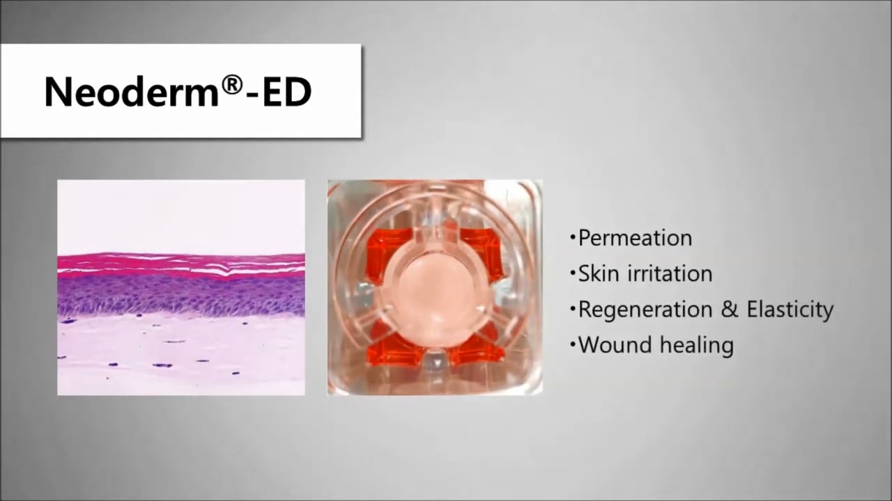 실험용 배양피부 Neoderm&reg; 피부모델