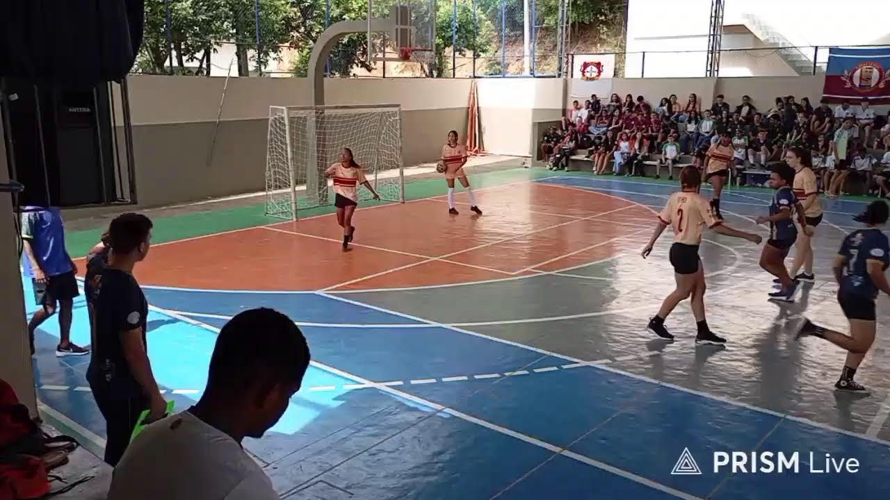 Transmiss&atilde;o ao vivo de JORNAL PAV NEWS