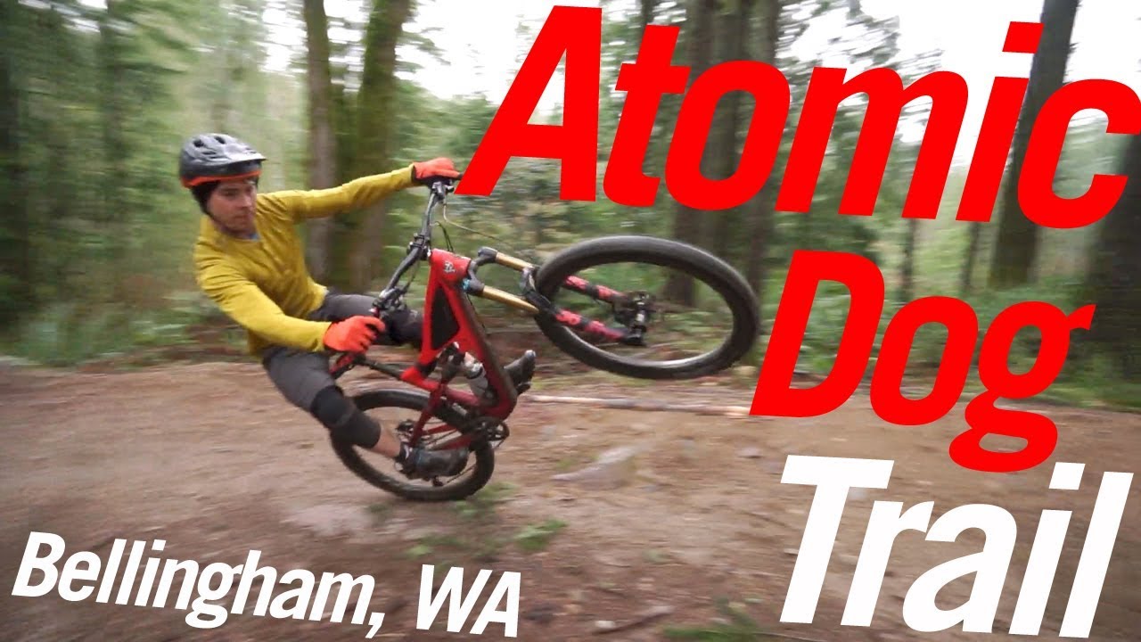 Atomic Dog Trail on Galbraith Mountain | Shredit 04