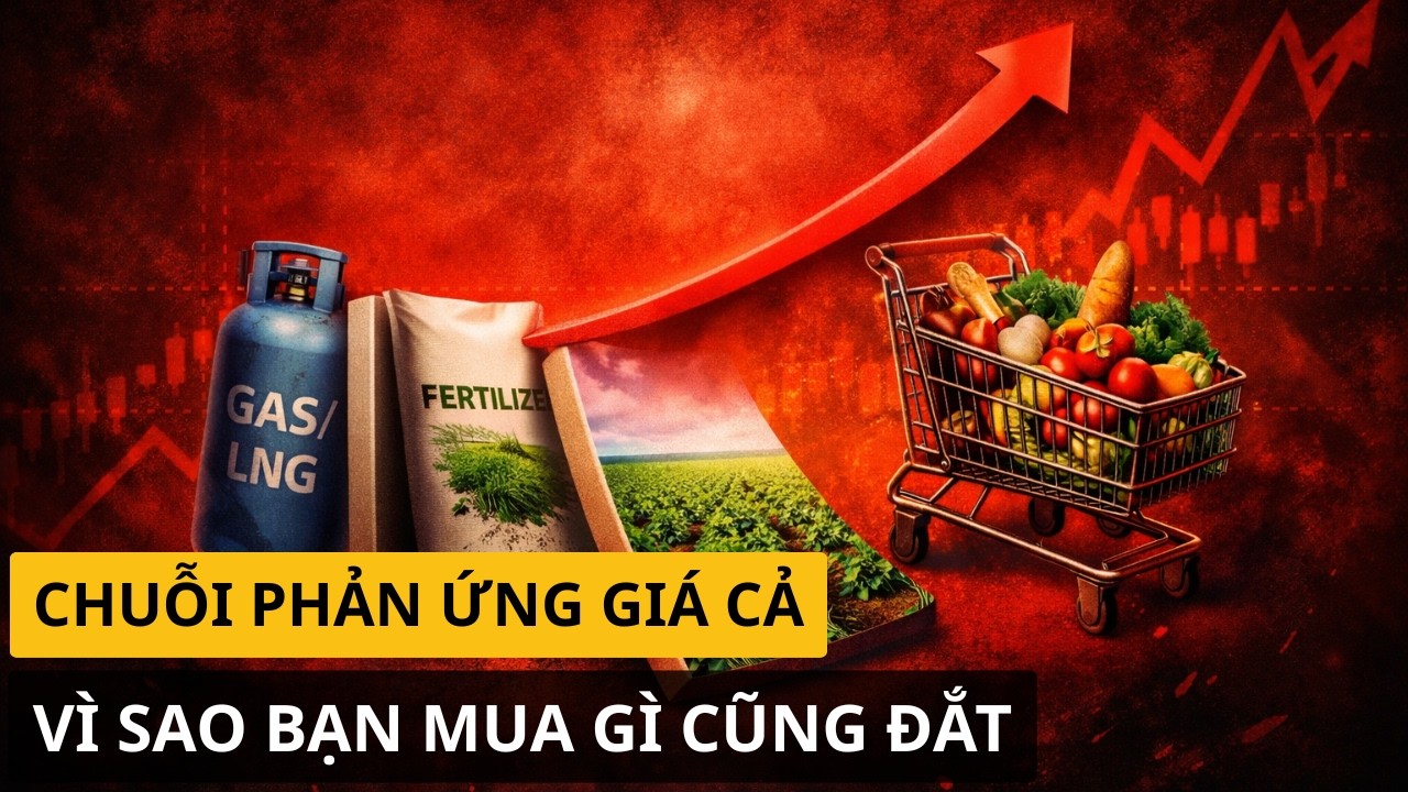 Phân Bón & Khí Tự Nhiên | Màn Nhảy Múa Của Giá Cả
