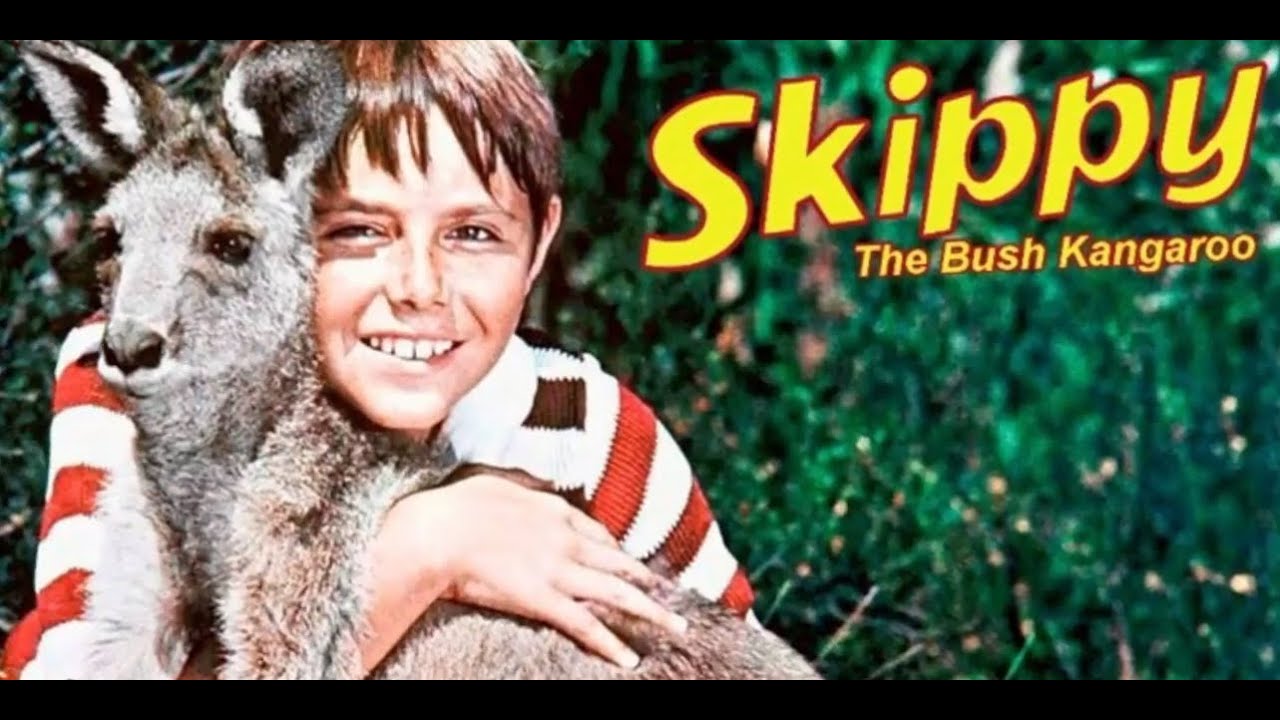 Skippy the Bush Kangaroo - An Australian Icon