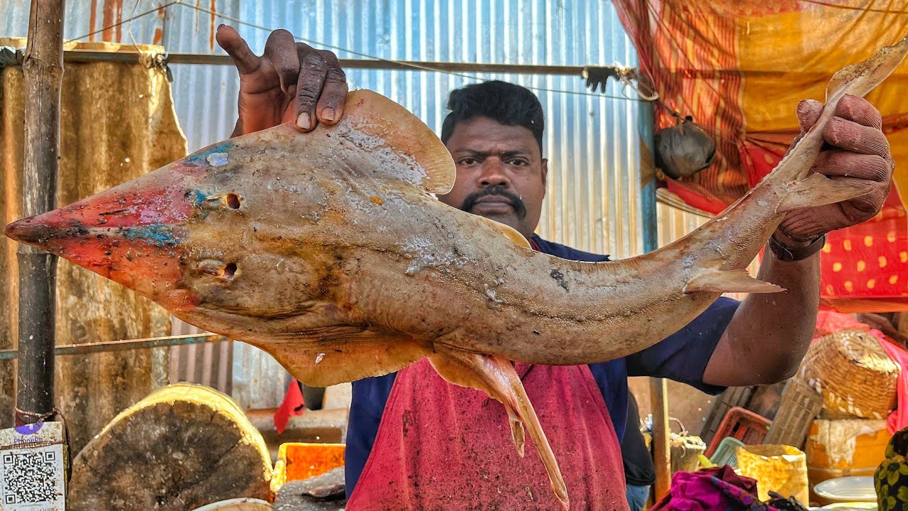 KASIMEDU 🔥 SPEED SELVAM | HUGE RARE FISH CUTTING VIDEO | 4K VIDEO | CS FISH CUTTING