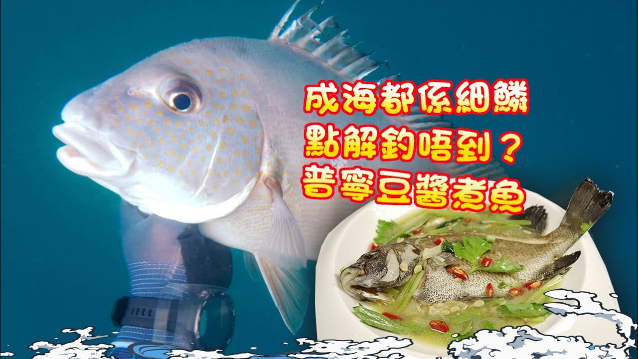 【漁人推介】阿火帶大家出海潛水，天氣回暖，成海都係細鱗？越打越多細鱗？回家製作普寧豆醬煮魚 Catch and Cook Recipe Fish with Puning Bean Sauce