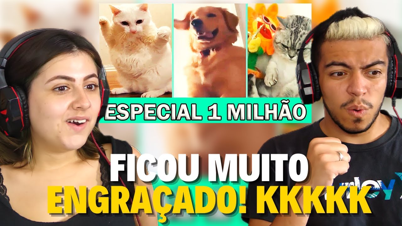 REACT (BELMIRO MEMES) Melhores dublagens e memes de animais falantes engraçados 6 | CASALZINHO