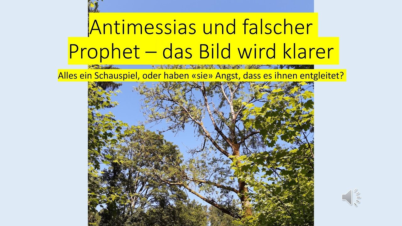 Antimessias und falscher Prophet – das Bild wird immer klarer