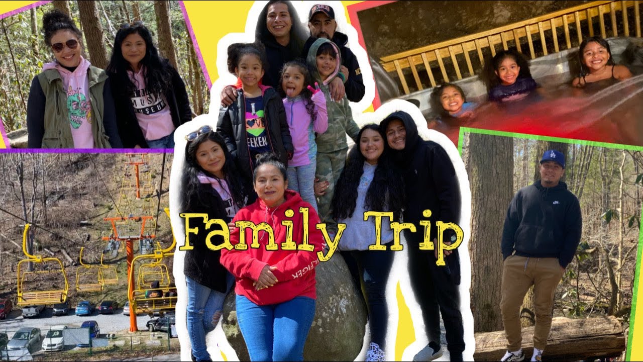 Vlog: Surprise Birthday Trip| Gatlinburg TN| Lit Family Trip| REEZY