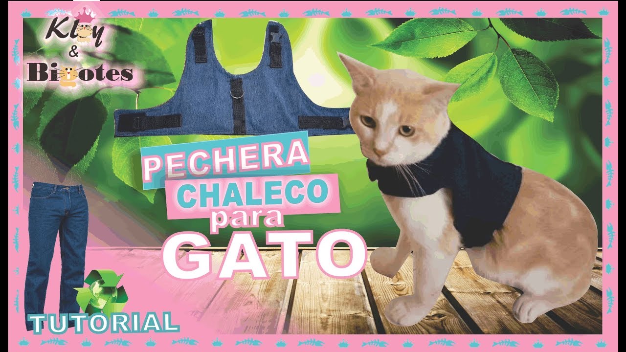 PECHERA CHALECO PARA GATO ✂️TUTORIAL👖♻️ Ropa para Gato