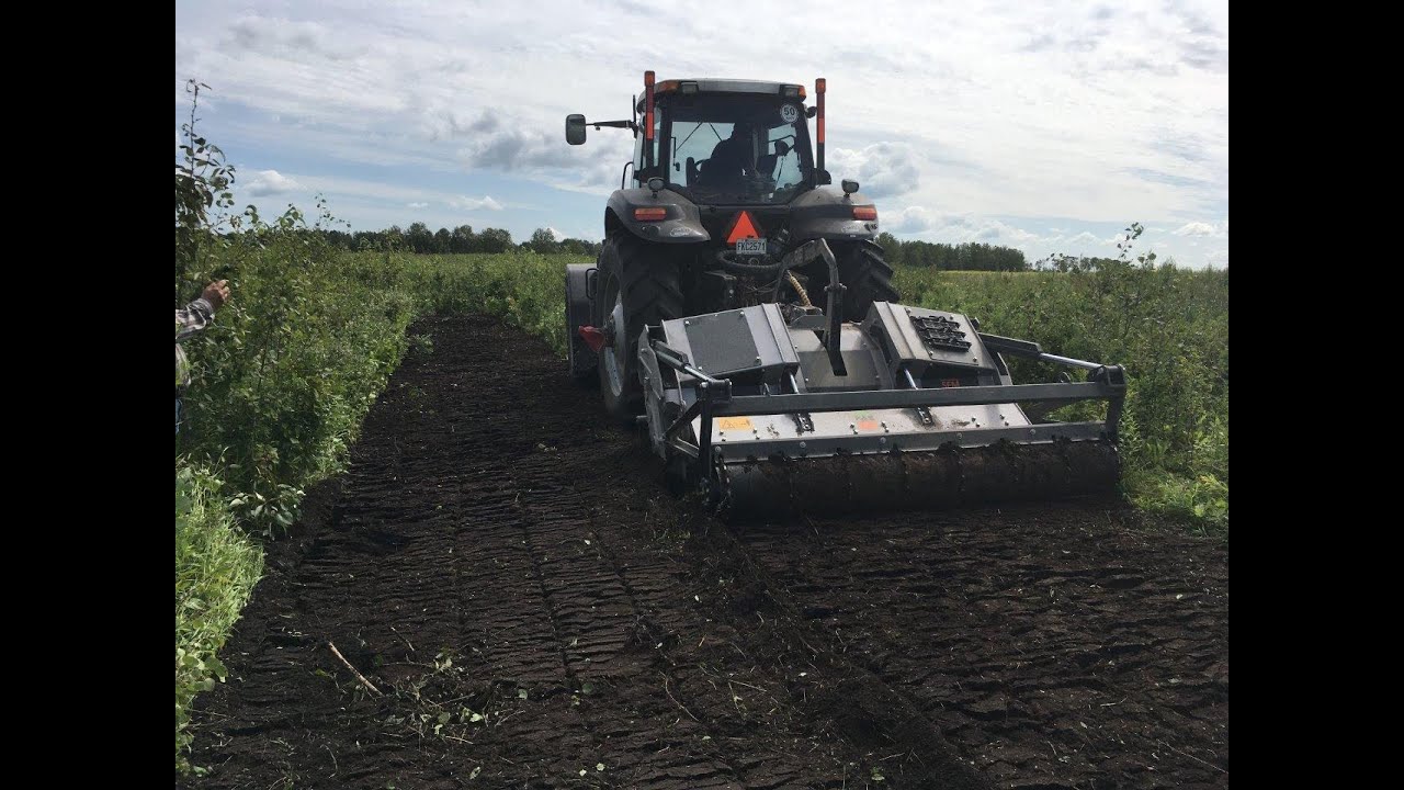 FAE Rotary Tiller SFM-250 Mulching 3 years regrowth in Saskatchewan