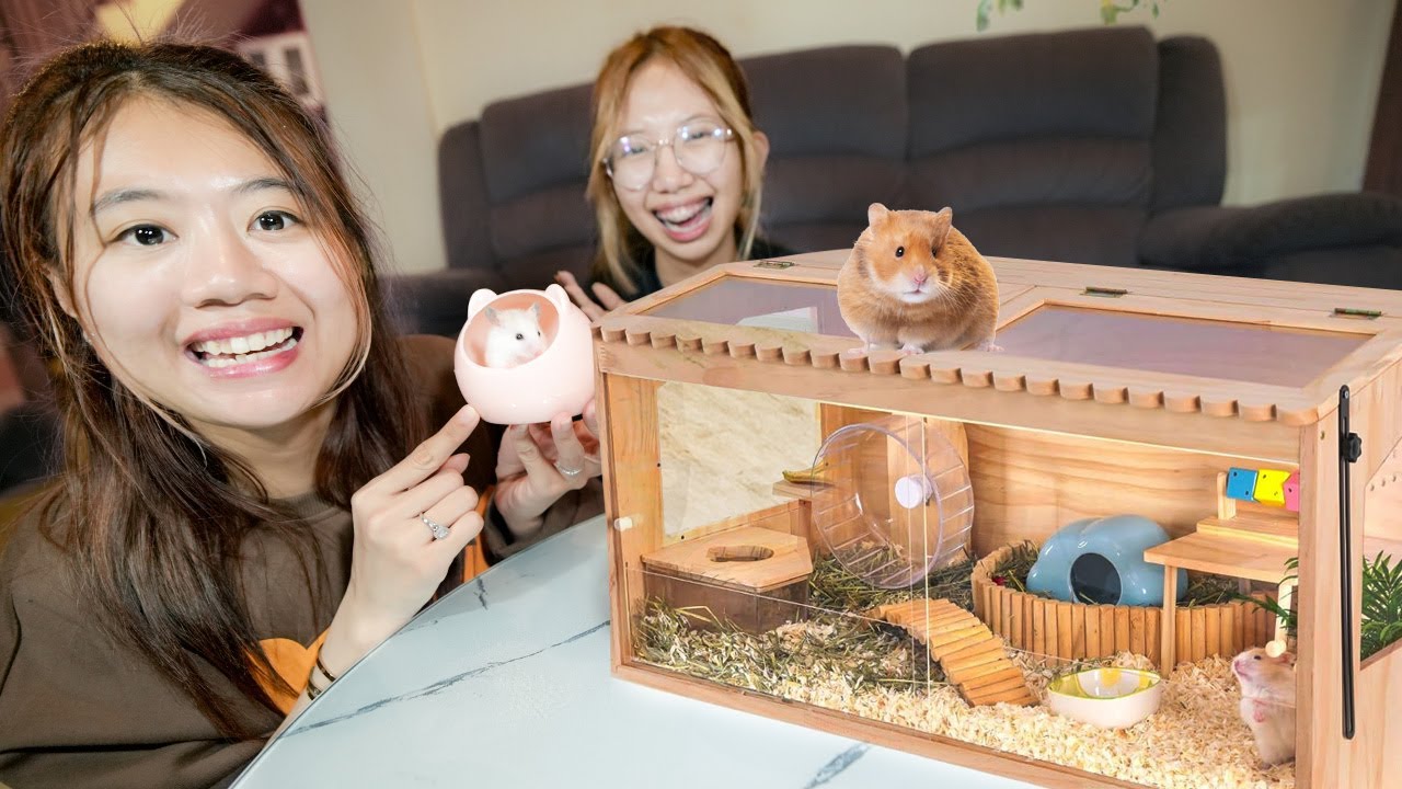 BELI PERLENGKAPAN HAMSTER!! PUNYA RUMAH BARU!!