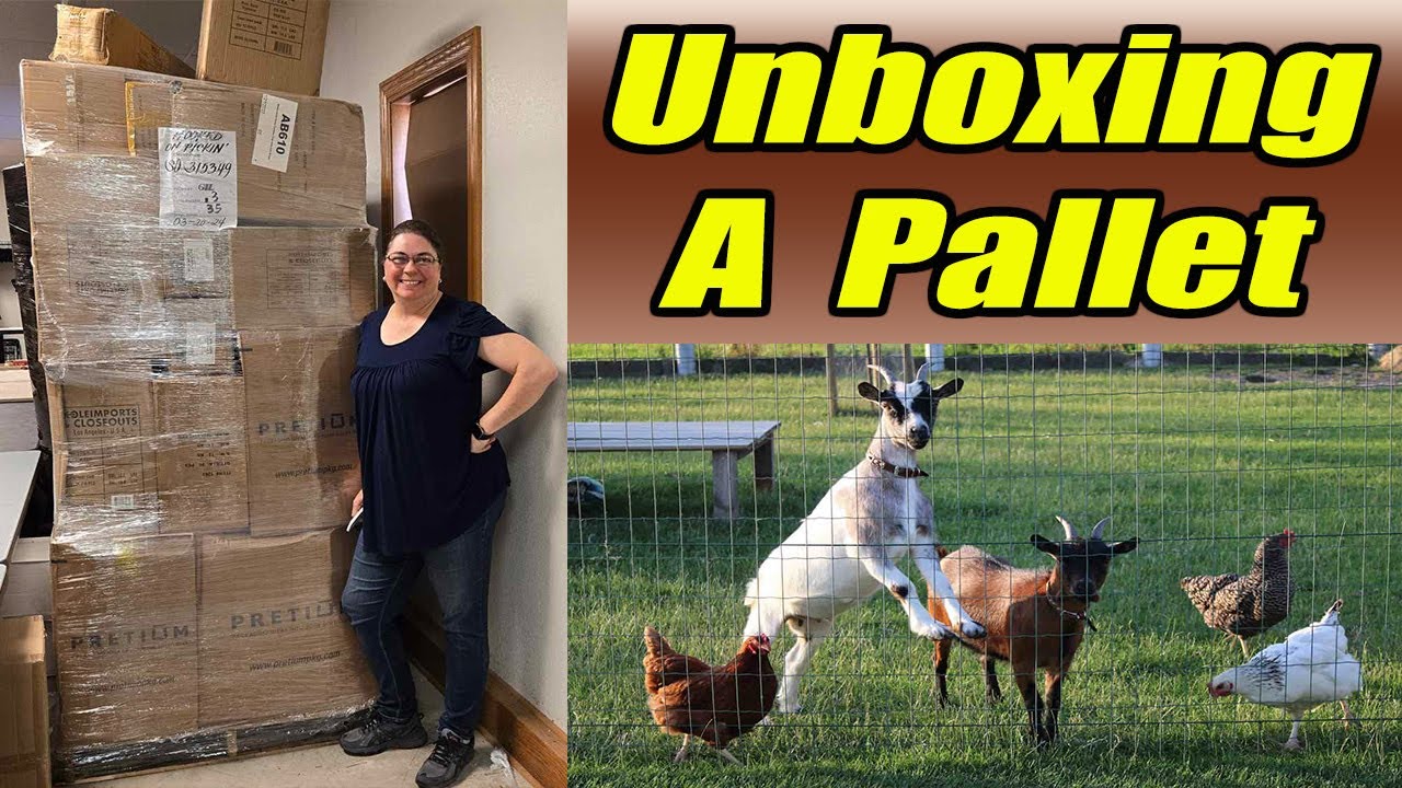 Unboxing A Huge Pallet And Suddenly we are discussing Goats & Chickens! What did we find?