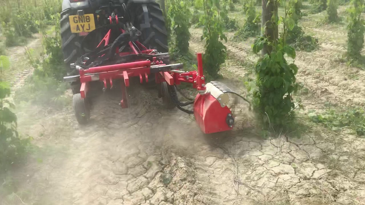 Mechanical sideshoot removal in Hops