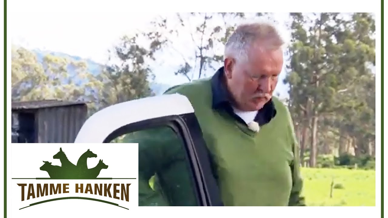 Tamme muss abbrechen! Ihm gehts nicht gut & bekommt Höhenkrankheit | Tamme Hanken | Kabel Eins