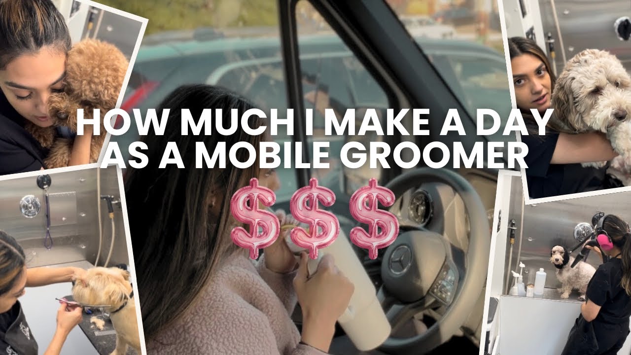 How Much Do Dog Groomers Make?! | How much I make a day as a mobile groomer