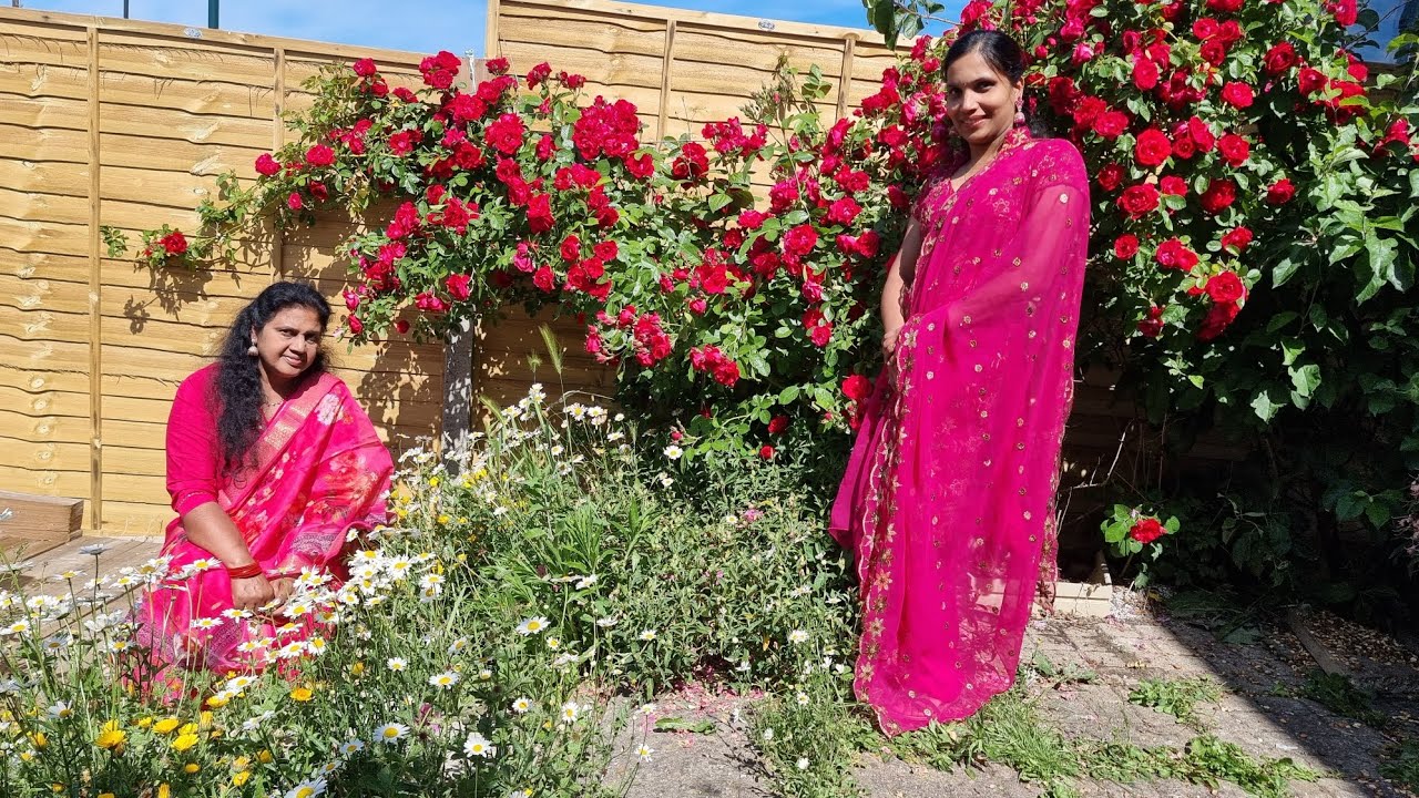 Teena and Siji's garden tour. #roses #peonyflower