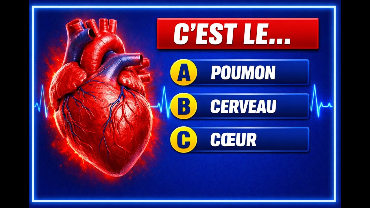 Seulement 1% Des Gens Réussissent Ce Quiz Sur Le Corps Humain ! 💪 Prouve Que Tu Es Du 1% !