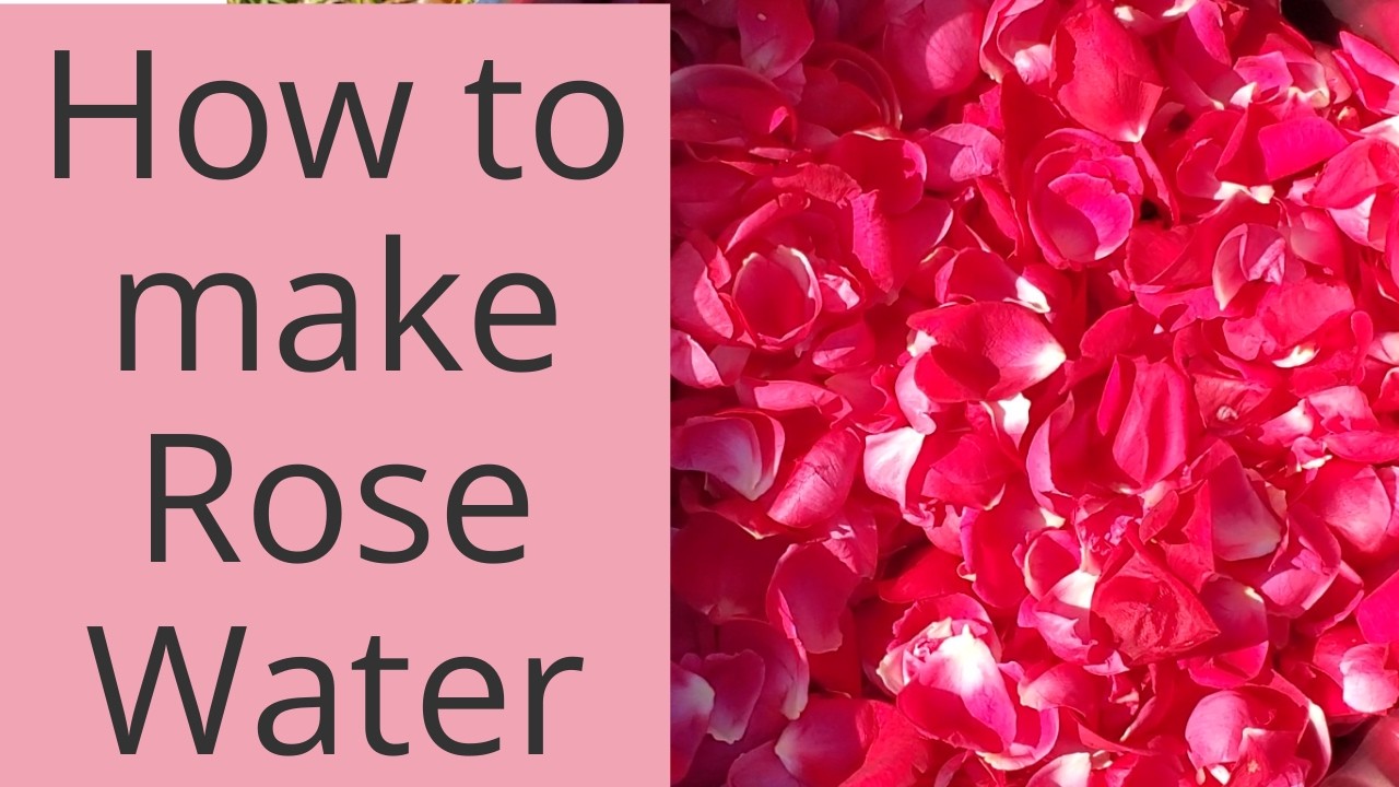 Rose water hair rinse, facial toner, room or linen mist is so easy to make