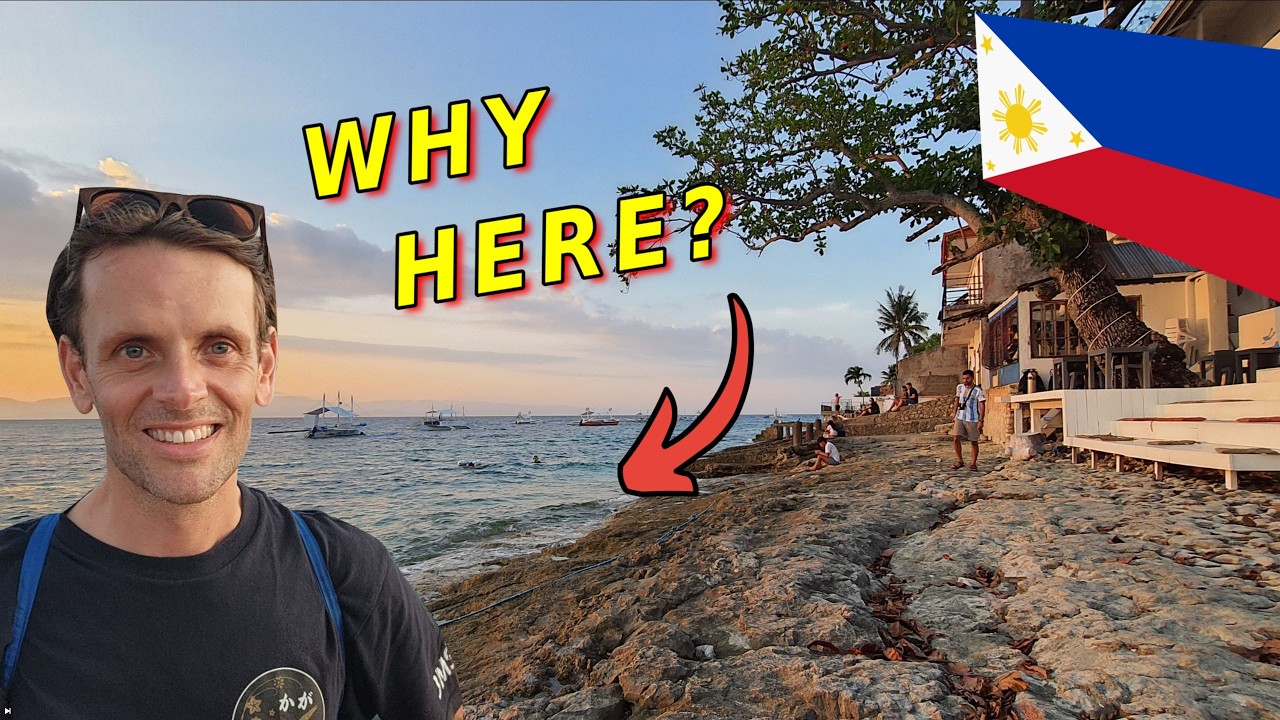 Moalboal Sardine Run: The Ocean Phenomenon That Brings Turtles   🇵🇭