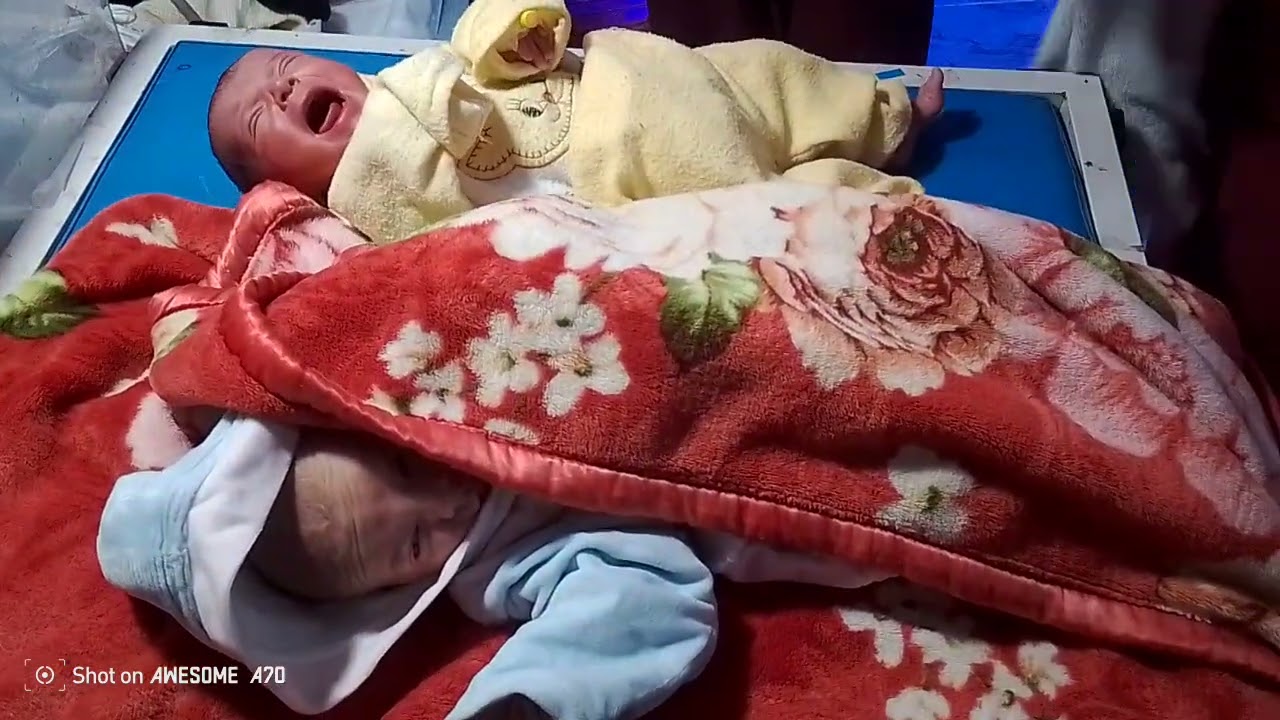 From NICU to Home: Twin Babies Recovered and Discharged Healthy 💕