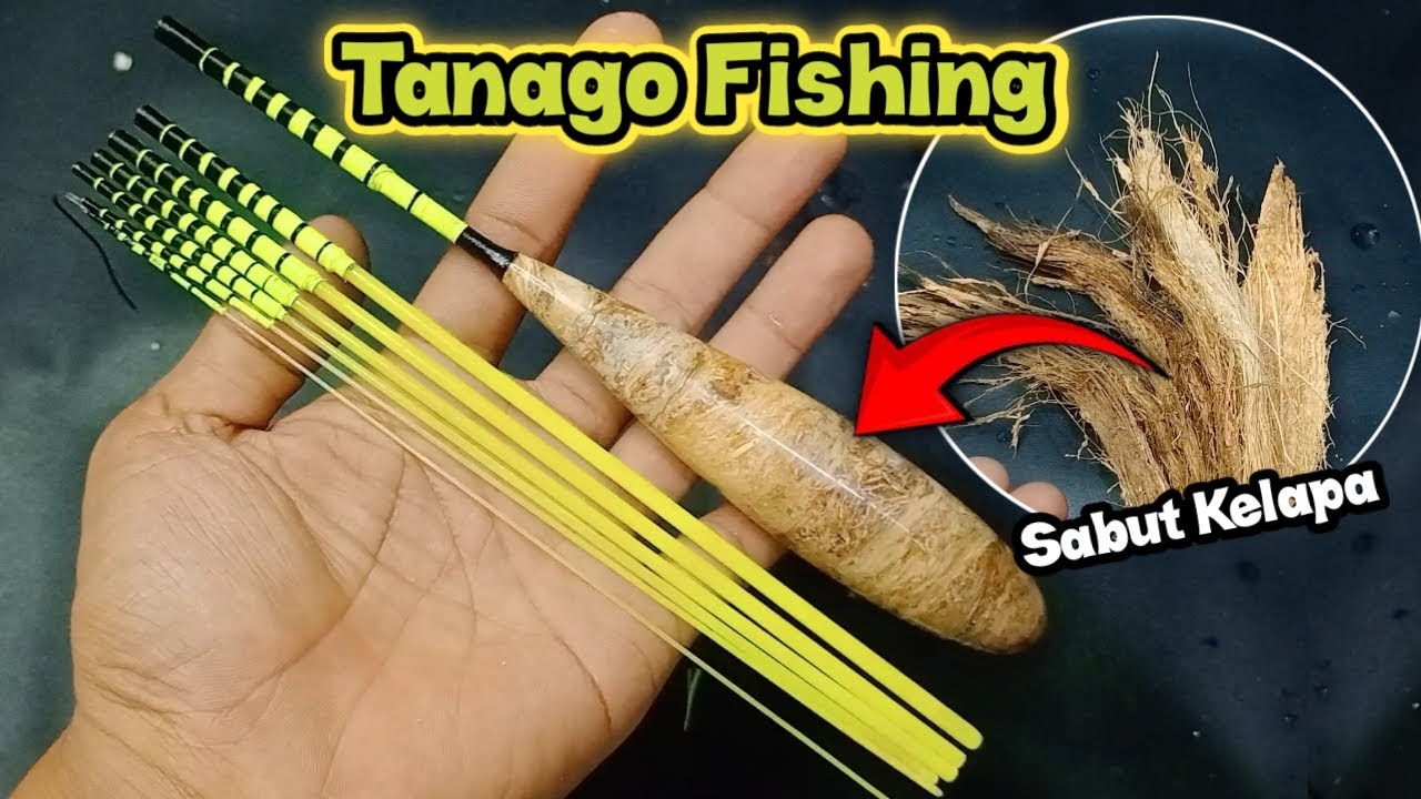 Tanago Fishing 🎣Membuat Joran Tanago Super Lentur || micro fishing