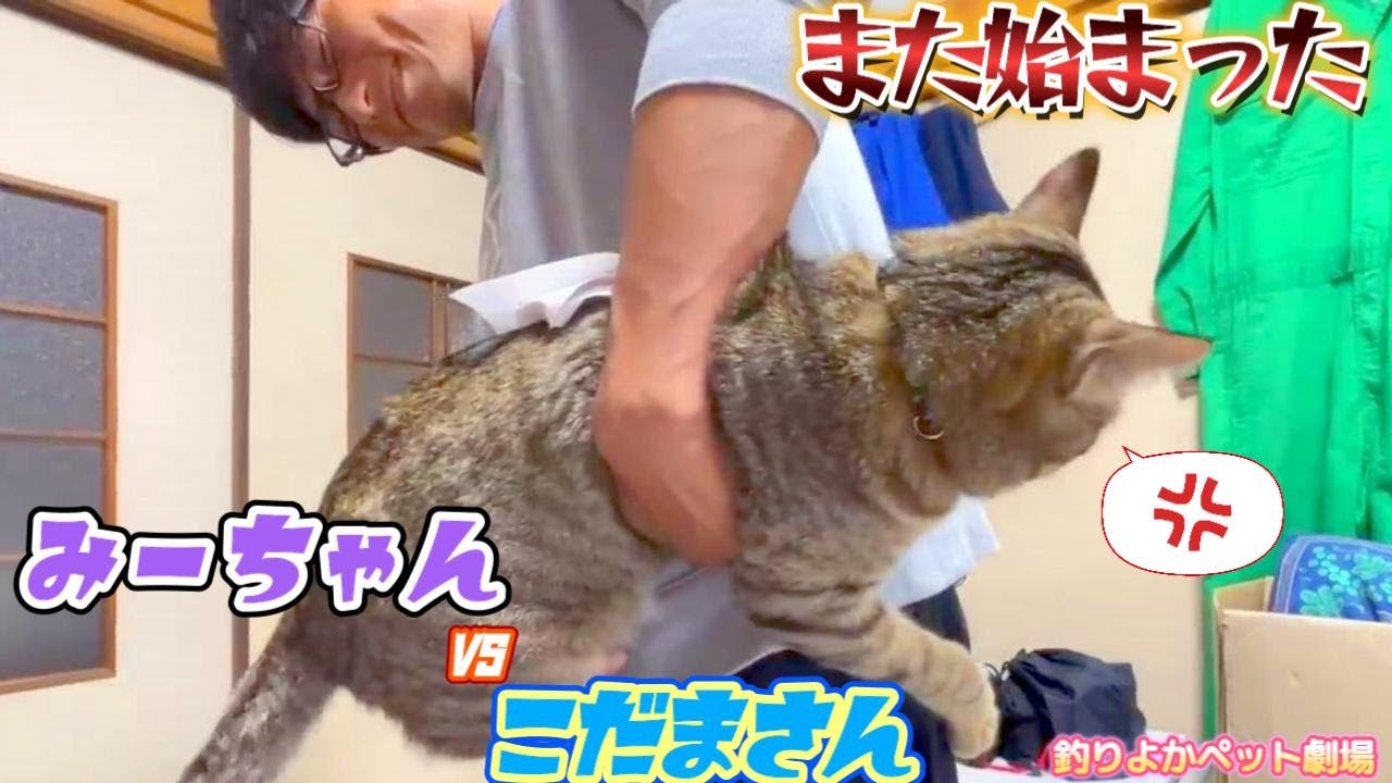【釣りよかペット劇場】また始まったみーちゃんvsこだまさん！ Part.69