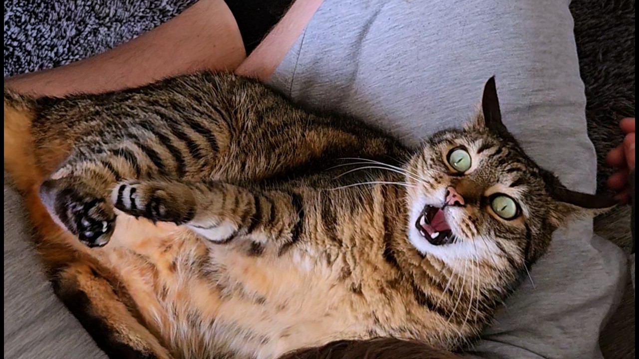 They’re touching me from all sides!