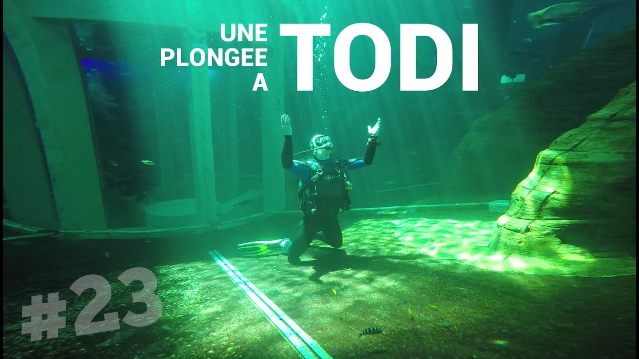 UNE PLONGÉE À TODI EN BELGIQUE