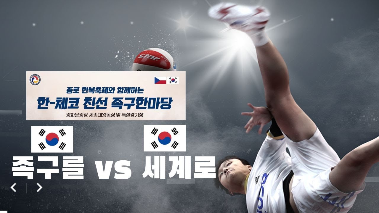 한국 체코 친선족구 한마당 여자부 족구를vs세계로