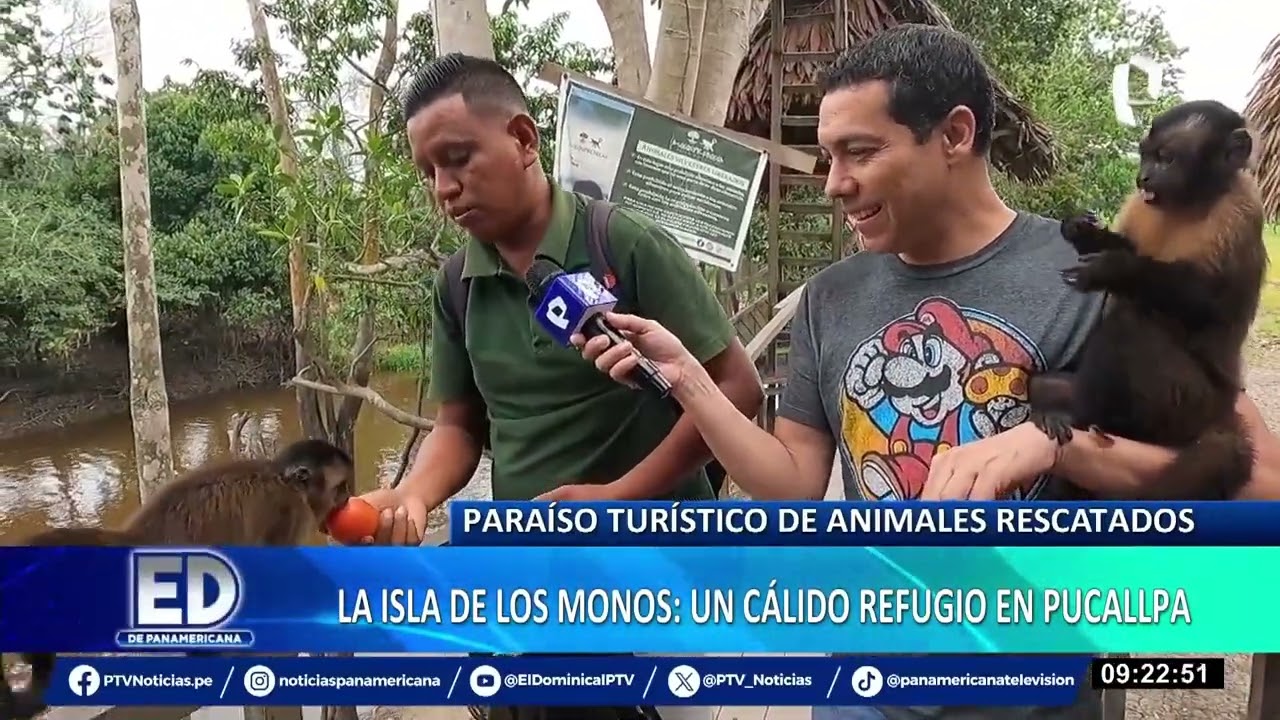Turismo en Pucallpa: todo sobre la &lsquo;Isla de los Monos&rsquo;, un c&aacute;lido refugio de primates