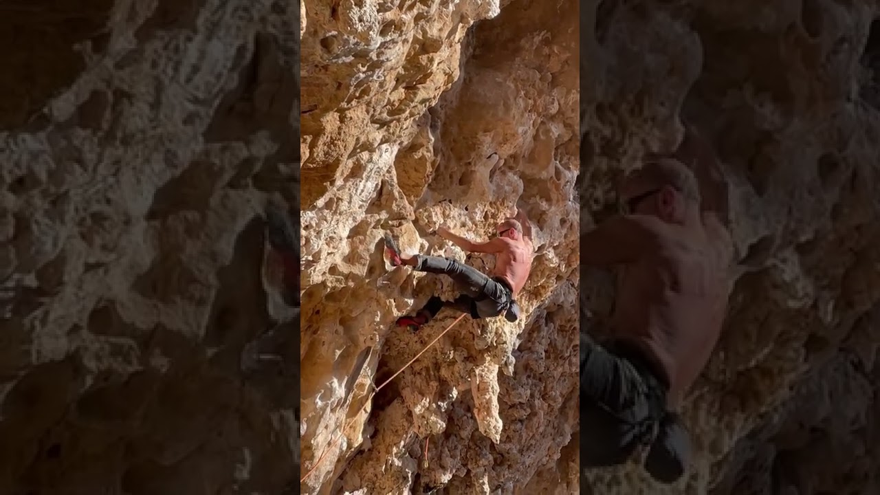 Vitale I 6C Grotta Dell'arenauta