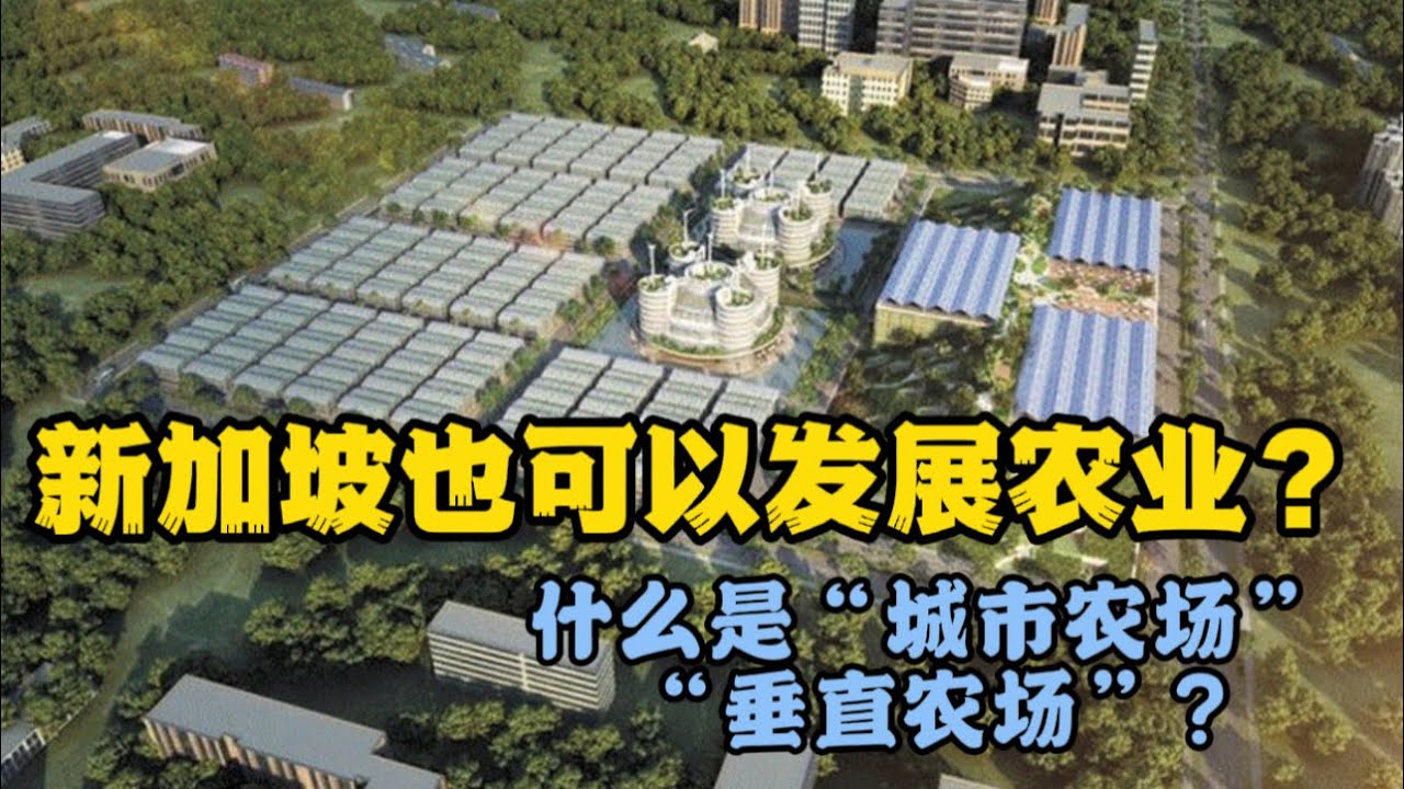 “垂直农场”给了小国新加披一次 “Urban Farming”的机会！
