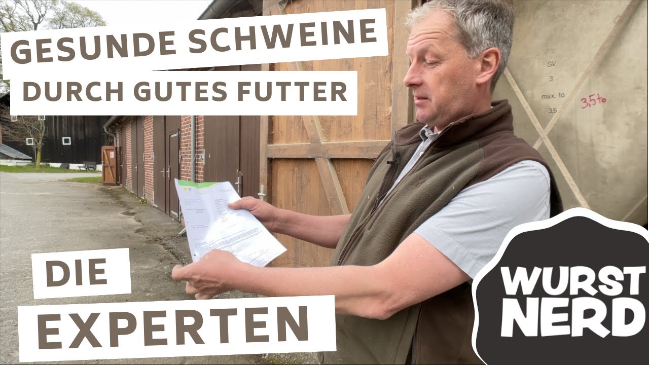 Gesunde Schweine durch gutes Futter - die Experten
