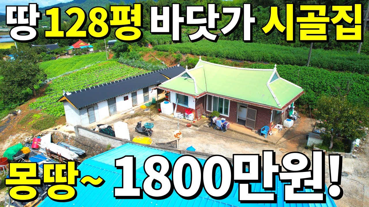 바닷가 옆 농막보다 싼집 찾았습니다! 대지 128평+수리된 시골집이 몽땅 1,800만원! 빈집벌금 무서워 더는 못 버틴다