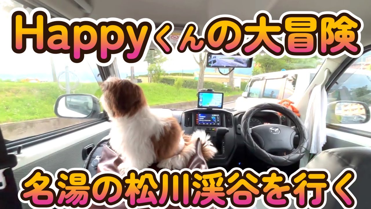 [シーズー🐶・くるま旅🚗] Happyくん名湯の松川渓谷を行く