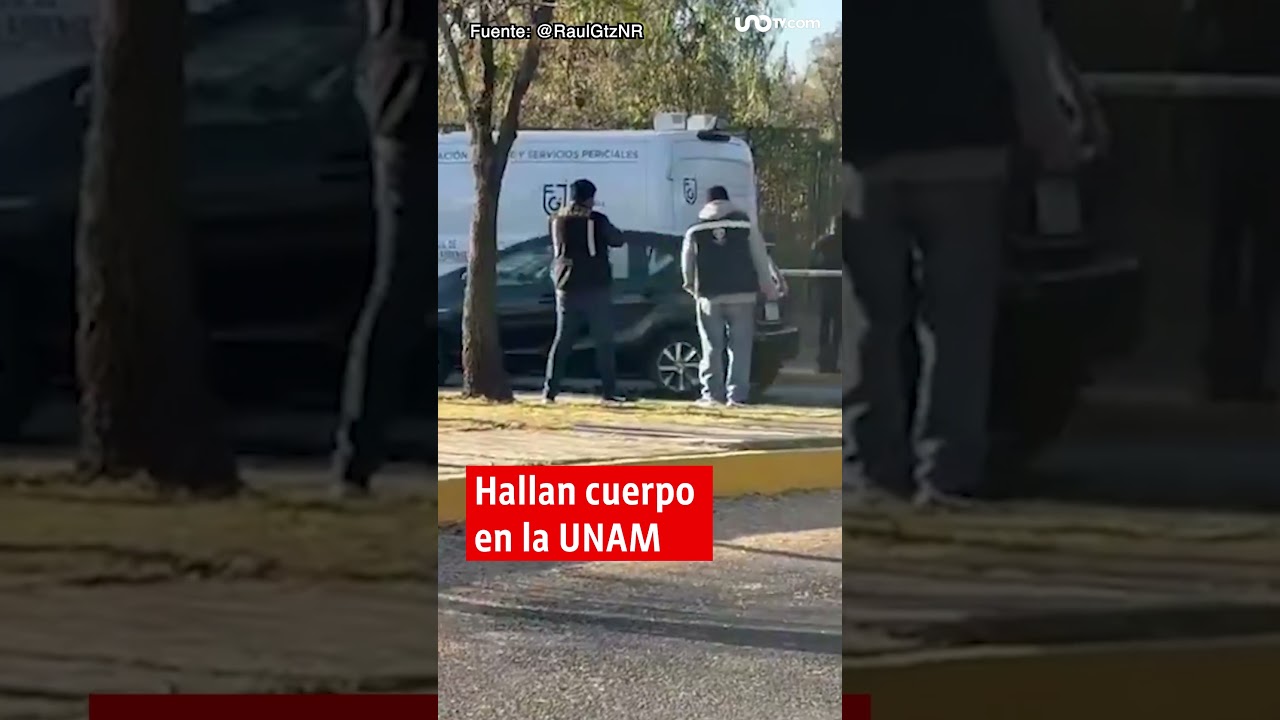 Noticias de hoy 23 de febrero de 2026, en un minuto, hasta las 19:00 horas