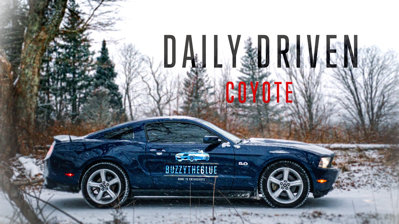 Ежедневная езда на Mustang GT в Новой Англии.