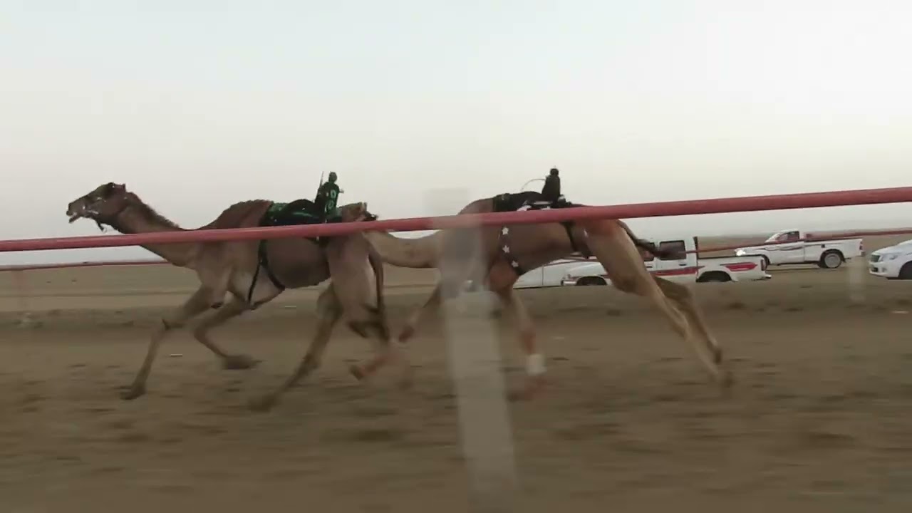 اجرام. محمد سعود الفتوح