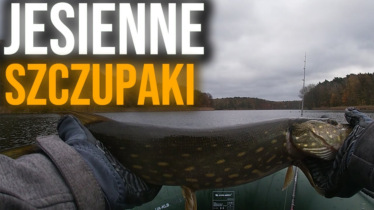 Jesienne Szczupaki z Pontonu