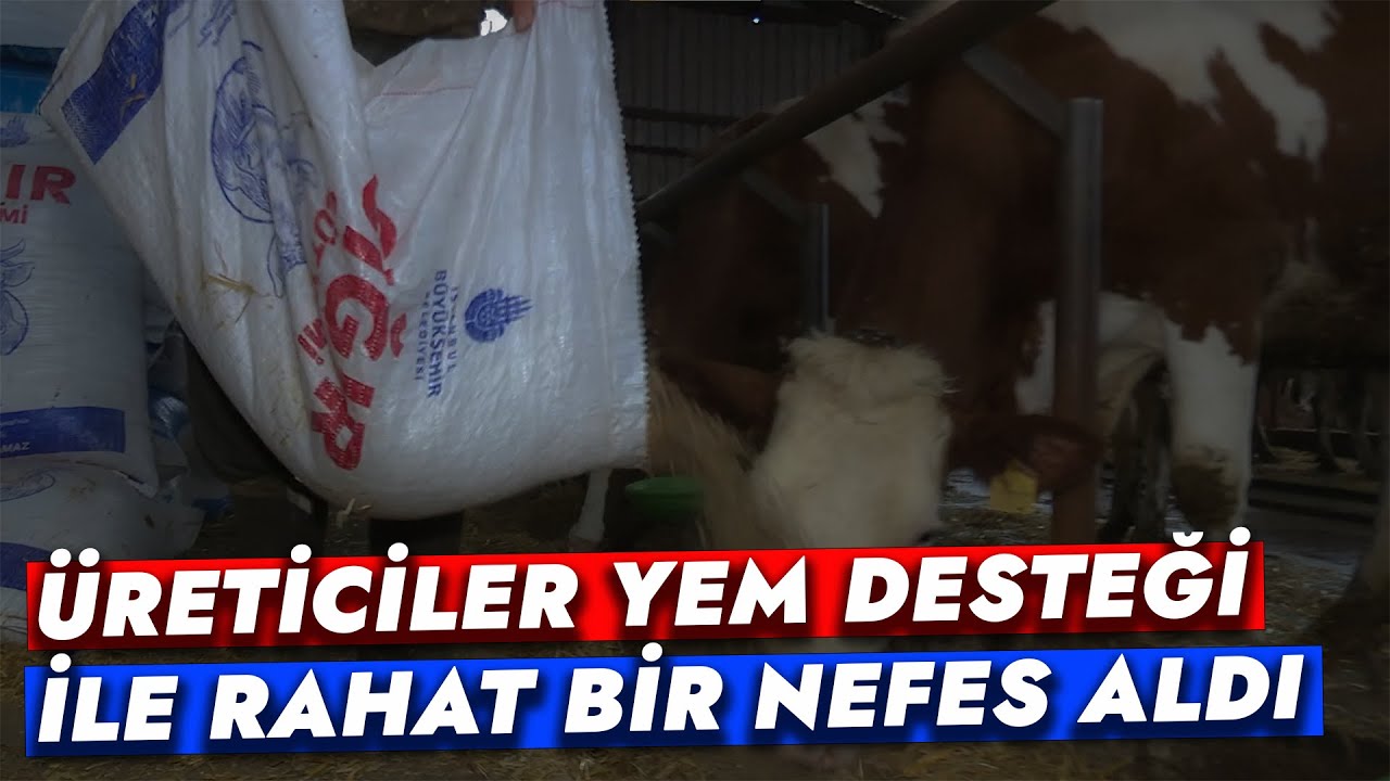 İBB'NİN SÜT DESTEĞİ ÜRETİCİLERİN YÜZÜNÜ GÜLDÜRDÜ