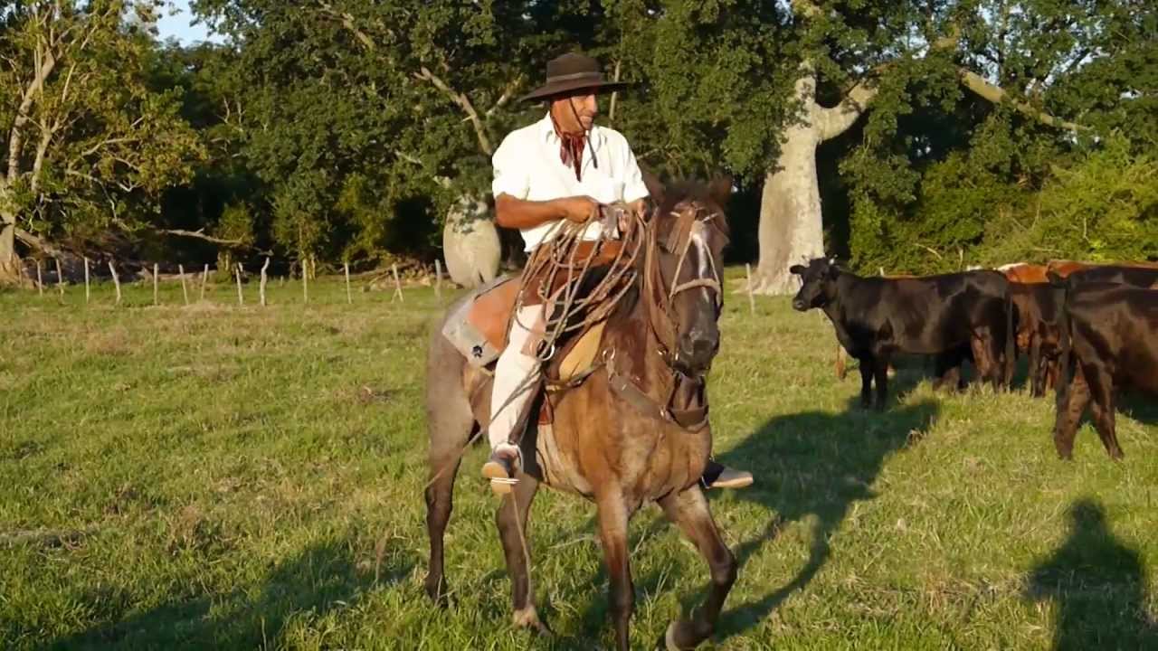 Horse Riding in Argentina
