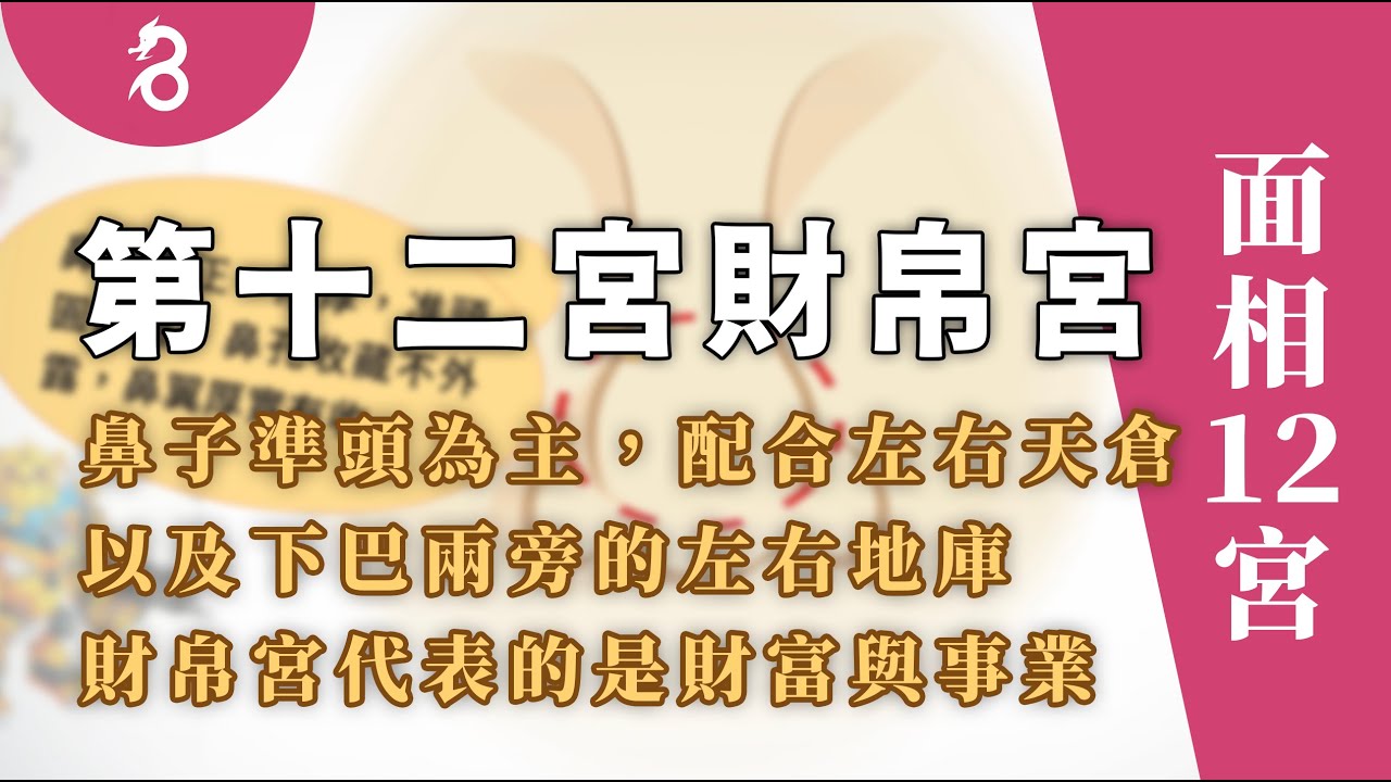 【面相12宮】第十二宮財帛宮 - 鼻子準頭為主，配合左右天倉，下巴兩旁的左右地庫，財帛宮代表的是財富與事業。。By 燊谷製作
