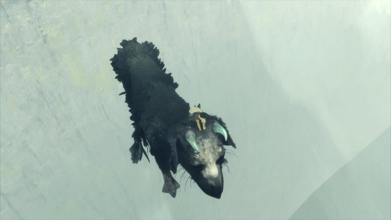 How to Ride Trico into the Void