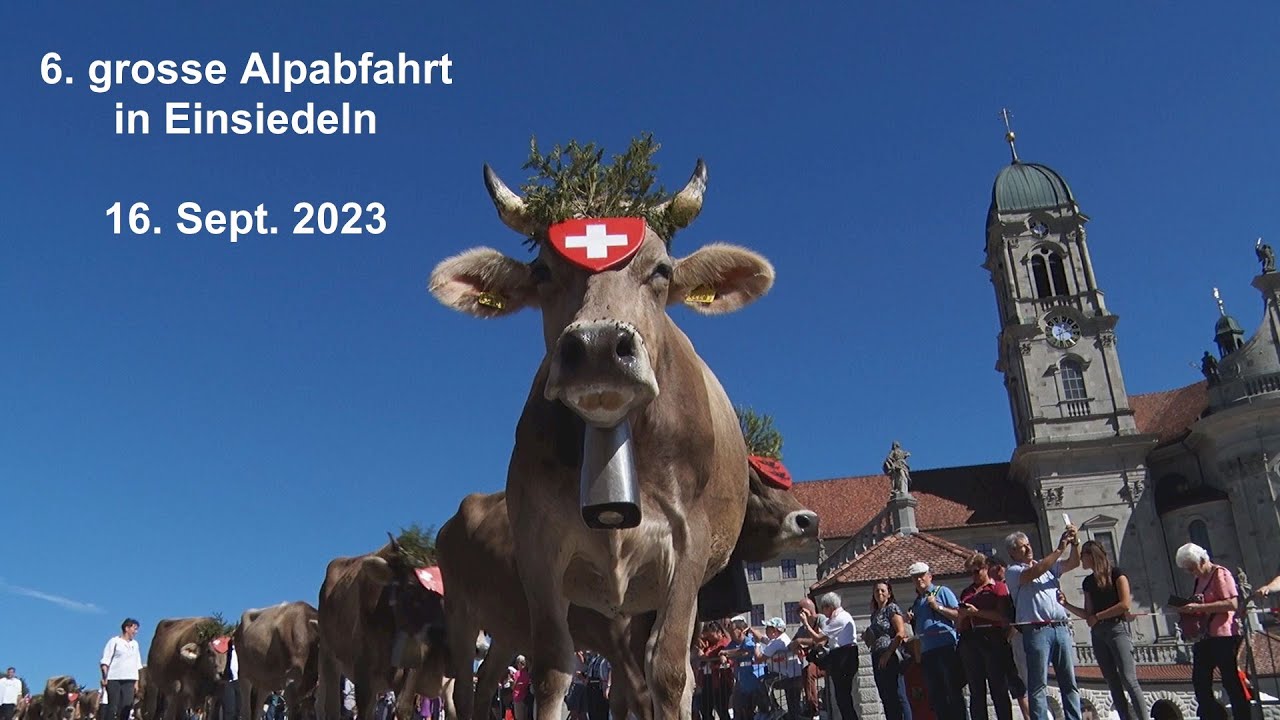 6. grosse Alpabfahrt in Einsiedeln  16. Sept. 2023. Cow bells in Swiss Alps