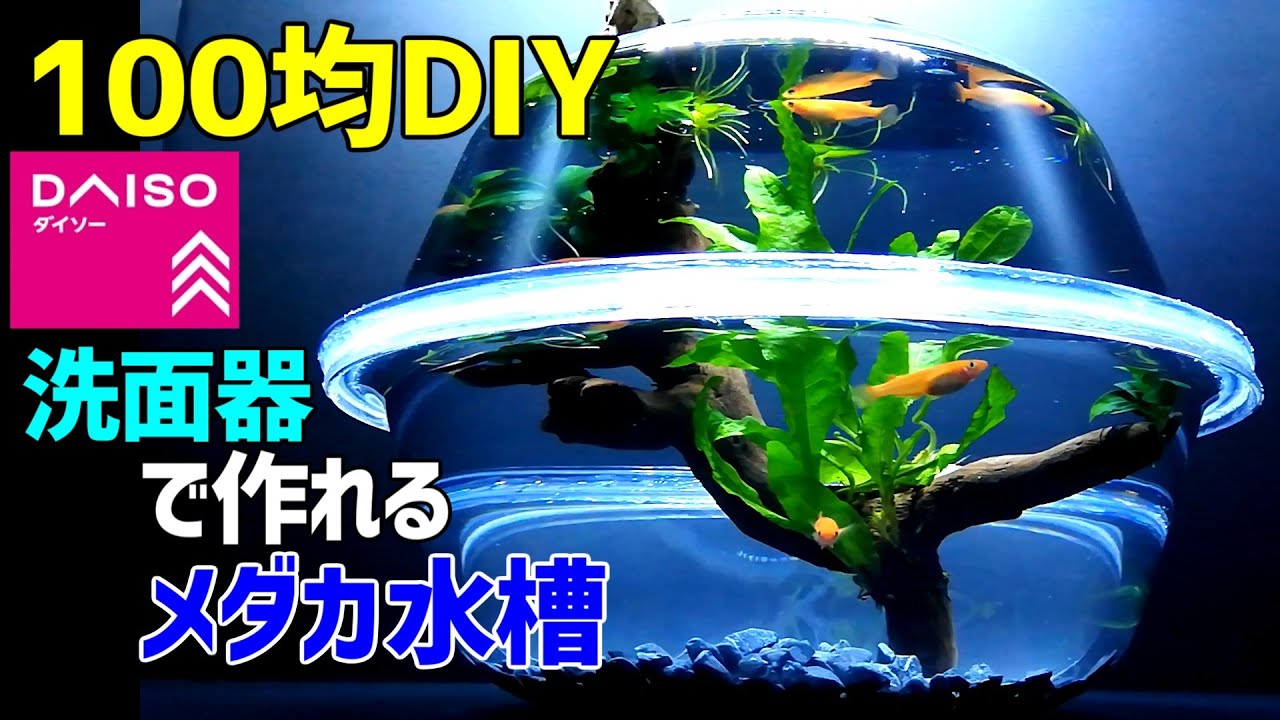 洗面器で作る【メダカ水槽】100均DIY! /メダカ室内飼育 /卓上ビオトープ/アートアクアリウム作成/How to Make a Tabletop Amazing Idea Aquarium
