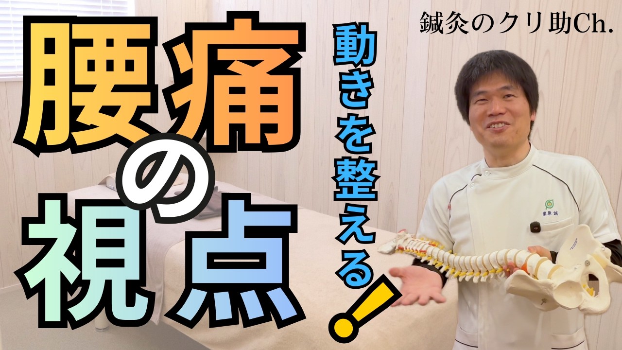 【腰痛の視点】痛い所にするだけが鍼灸ではありません。腰痛に対してどんなアプローチができるのか、「動きを整える」という視点から解説。