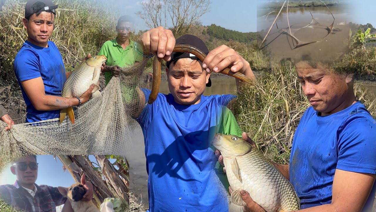 FARM DA NGA KHONBA KAKA GI FARMDA #manipurfarming #fishing 
