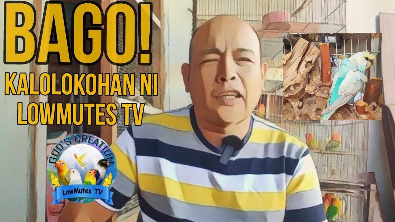 Pinaka bagong kalolokohan na ibon/HAGOROMO PROJECT/HELICOPTER BUDGIES