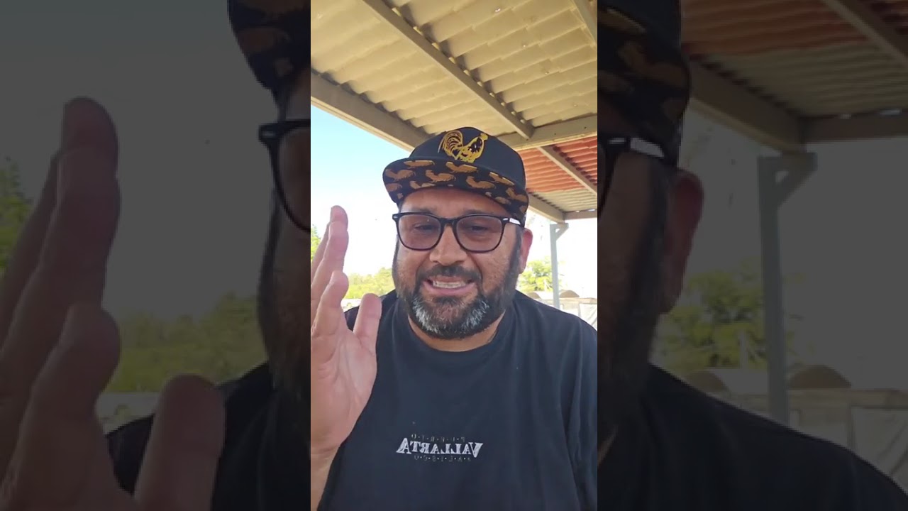 Un anabolico de liberación rápida  y medicamentos para el día del show